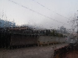 Foto: Wilson Schmidt Junior -