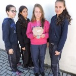 EEB João XXIII: uma escola sustentável