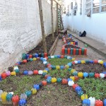 EEB João XXIII: uma escola sustentável