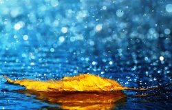 Foto: ilustração -