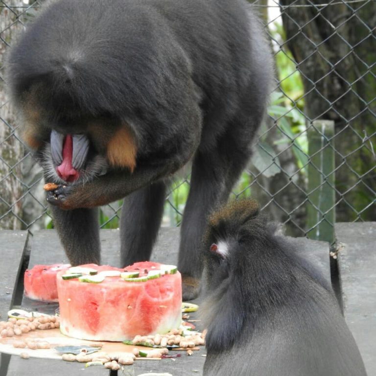 Zoo Brusque