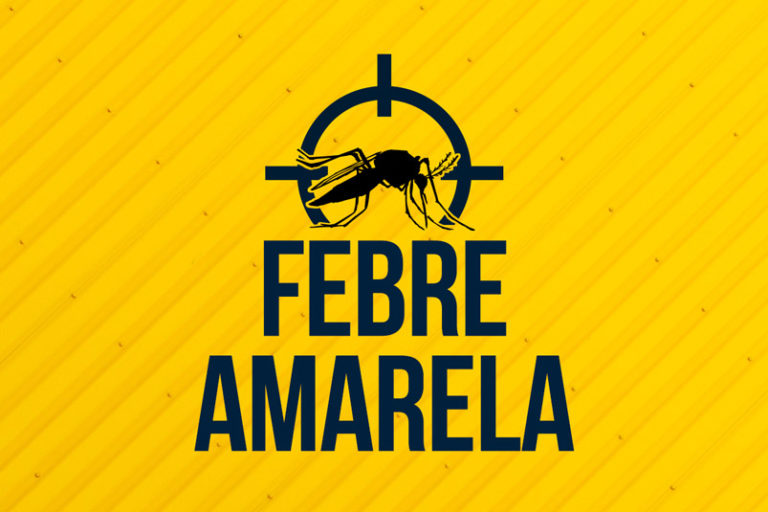 febre amarela brusque