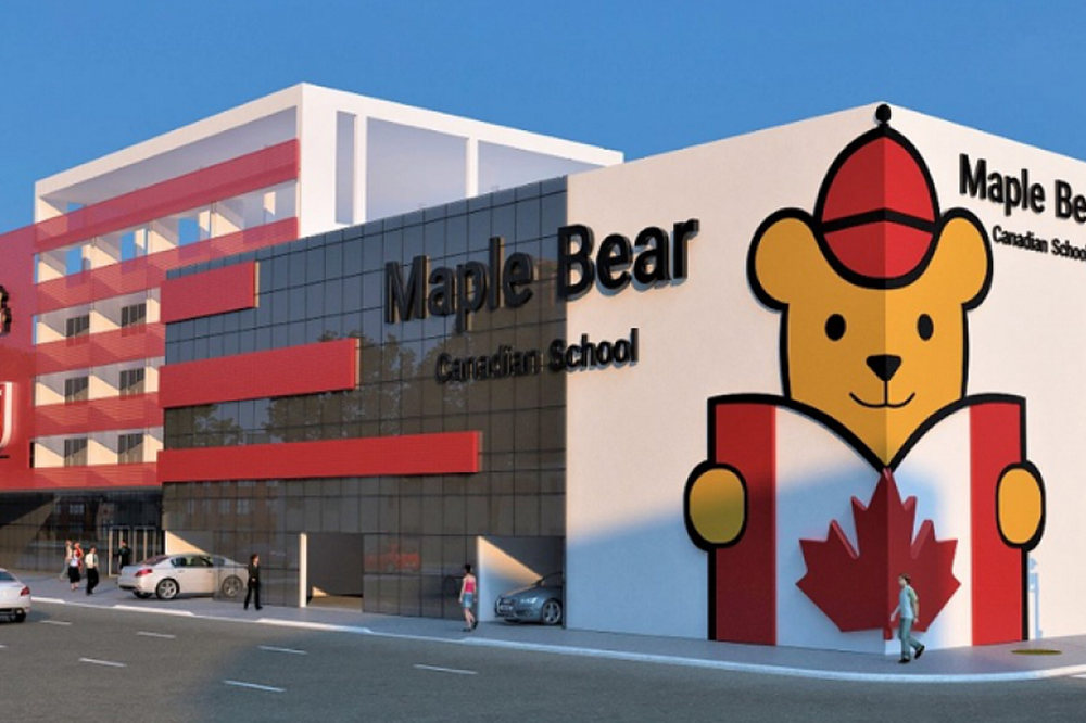 Maple-Bear-brusque