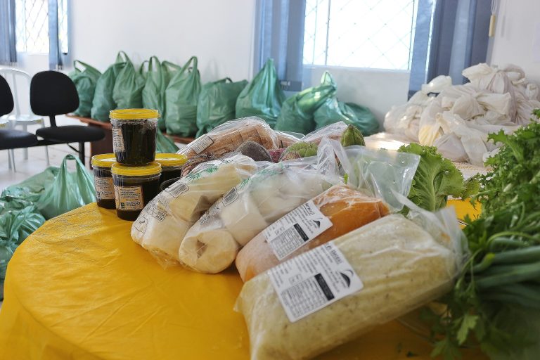 Itajaí implanta programa de segurança alimentar e nutricional pioneiro na região
