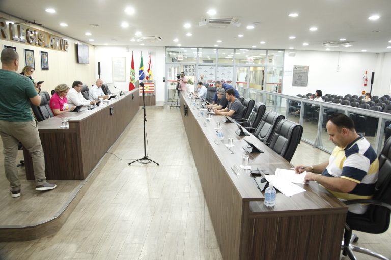 camara blumenau