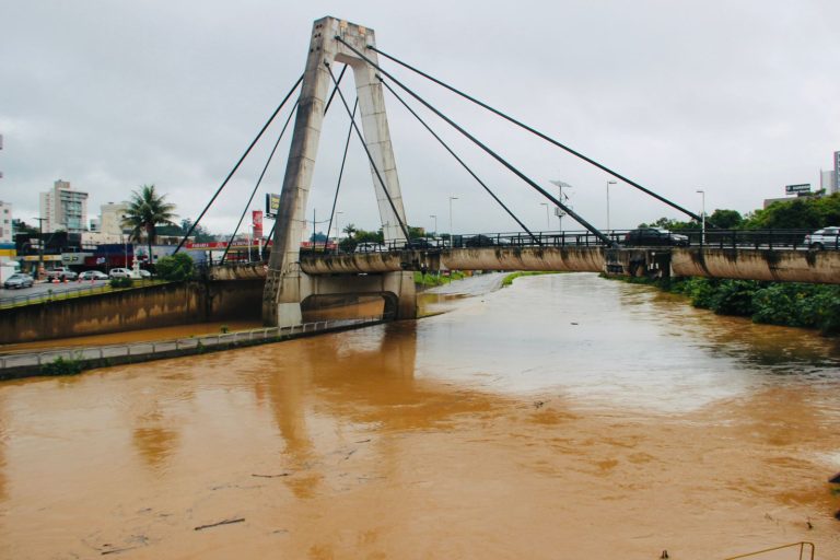 ponte estaiada brusque