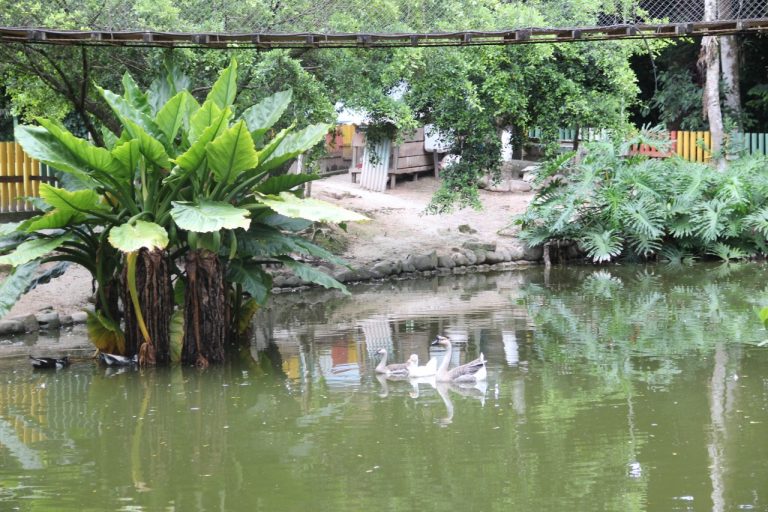 Parque da Caixa d’Água | Brusque