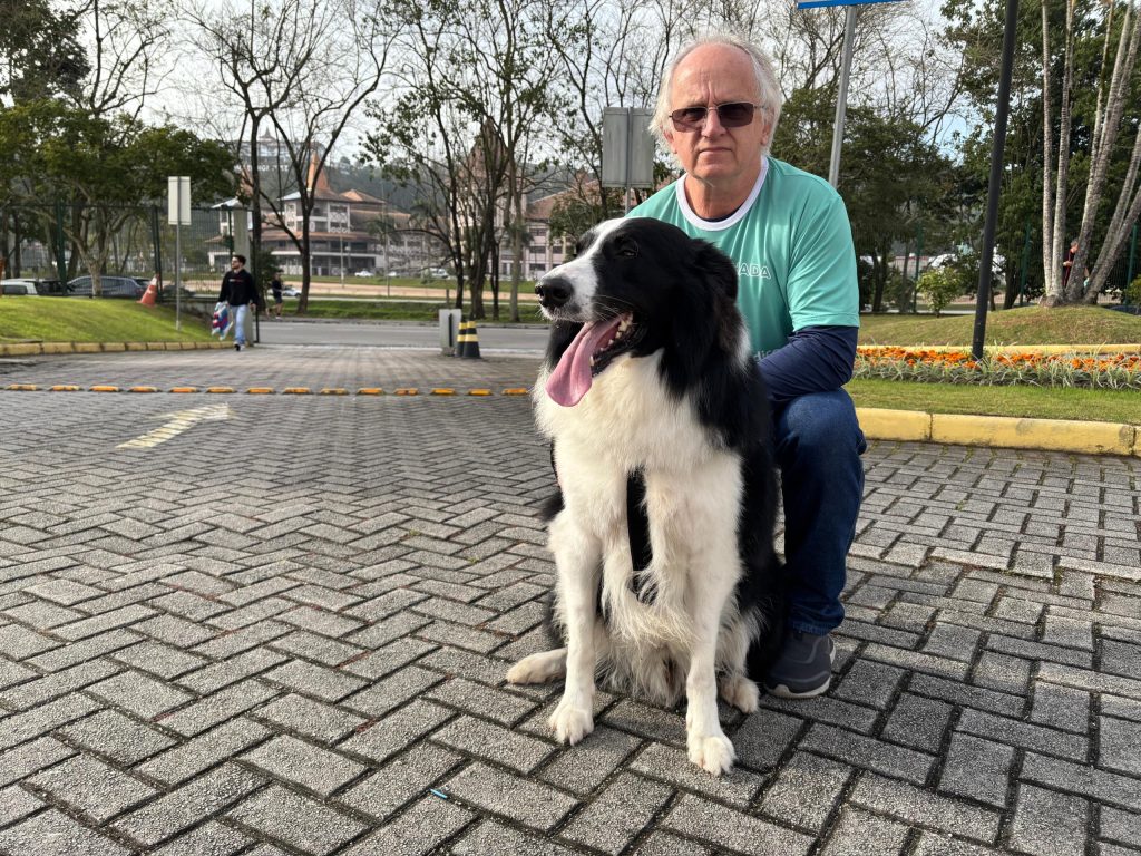 2ª Cãominhada em Brusque: Veja as fotos do evento que reuniu mais de 150 pets e seus tutores