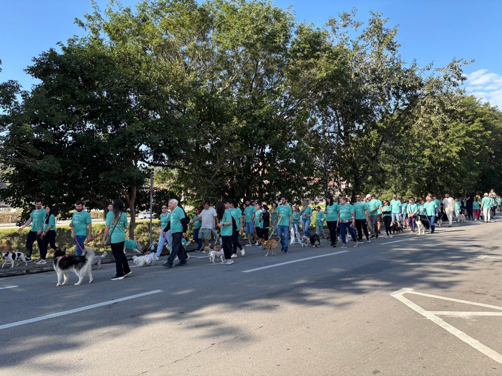 2ª Cãominhada em Brusque: Veja as fotos do evento que reuniu mais de 150 pets e seus tutores