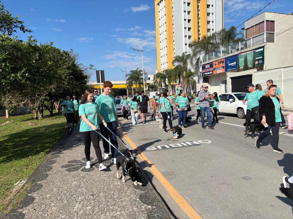 2ª Cãominhada em Brusque: Veja as fotos do evento que reuniu mais de 150 pets e seus tutores