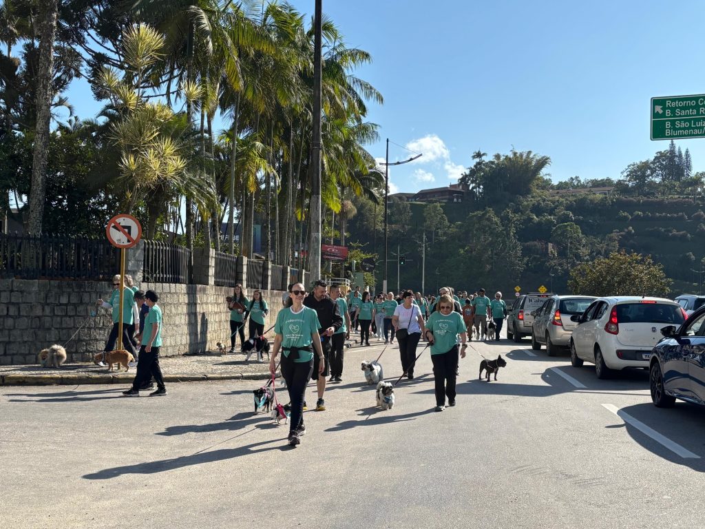 2ª Cãominhada em Brusque: Veja as fotos do evento que reuniu mais de 150 pets e seus tutores