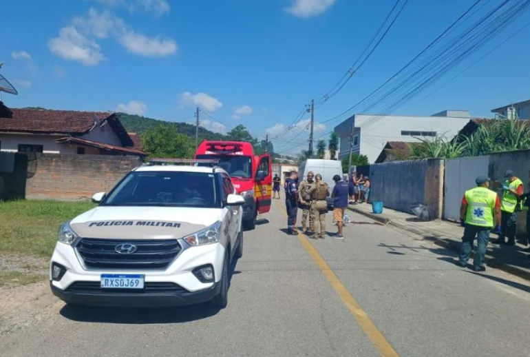 atropelado brusque