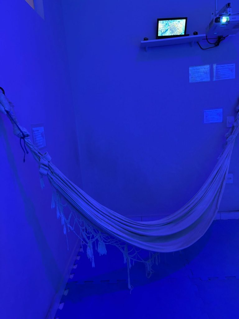 Sala sensorial ajuda alunos a prevenir crises e recuperar a calma em escola de Brusque
