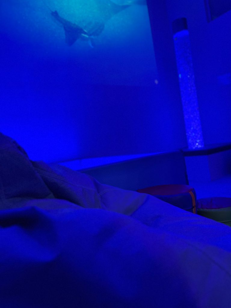 Sala sensorial ajuda alunos a prevenir crises e recuperar a calma em escola de Brusque